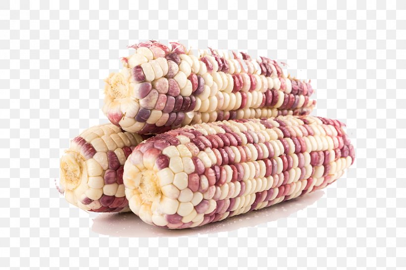 Chicha Corn On The Cob Waxy Corn Vegetarian Cuisine Food, PNG, 860x573px, Chicha, Agriculture, Commodity, Corncob, Cuisine Download Free