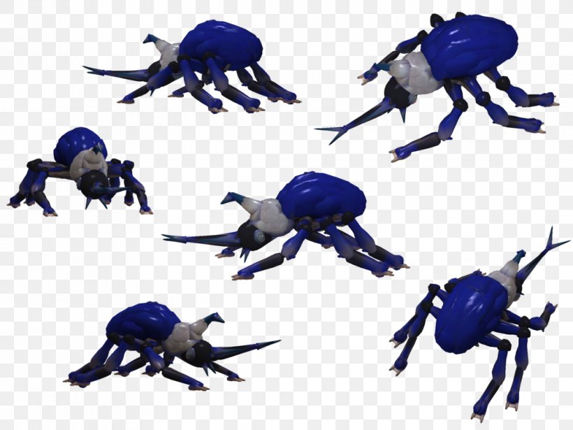 Crab Insect Decapoda, PNG, 1032x774px, Crab, Arthropod, Decapoda, Insect, Invertebrate Download Free
