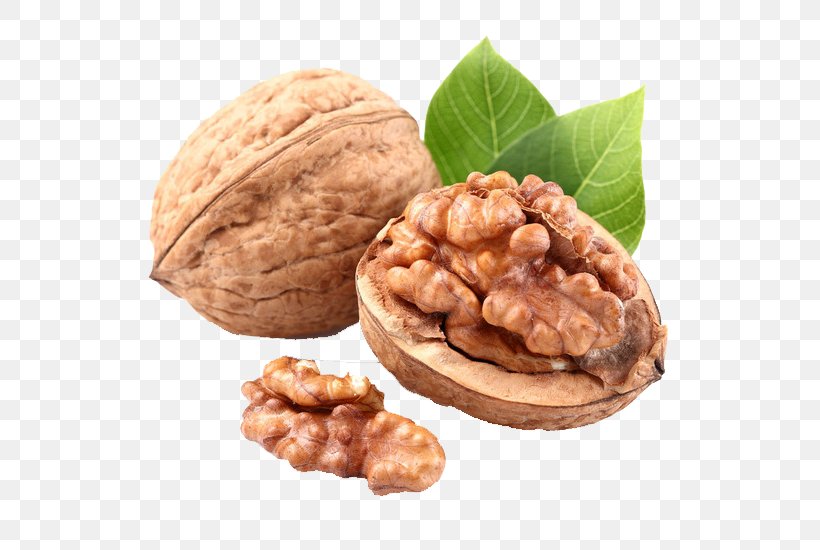 English Walnut Price Dried Fruit, PNG, 658x550px, Nut, Artikel, Commodity, Dried Fruit, English Walnut Download Free