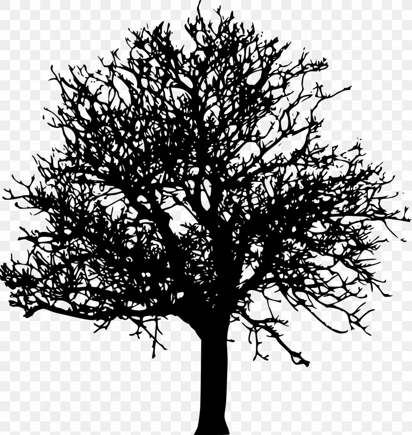 Tree Desktop Wallpaper Clip Art, PNG, 1891x2000px, Tree, Black And White, Branch, Display Resolution, Monochrome Download Free