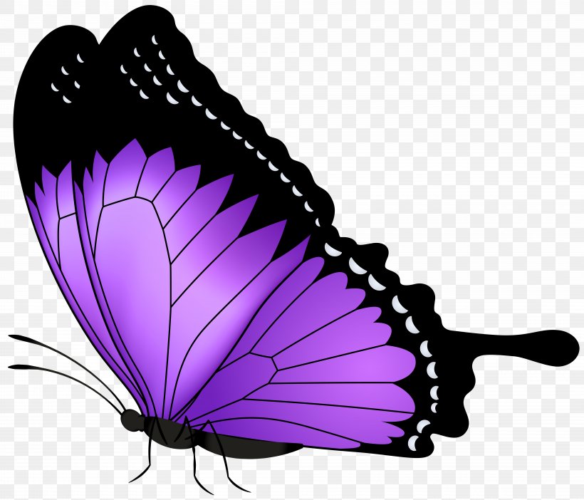 Butterfly Purple Clip Art, PNG, 8000x6853px, Butterfly, Art, Arthropod, Brush Footed Butterfly, Butterflies And Moths Download Free
