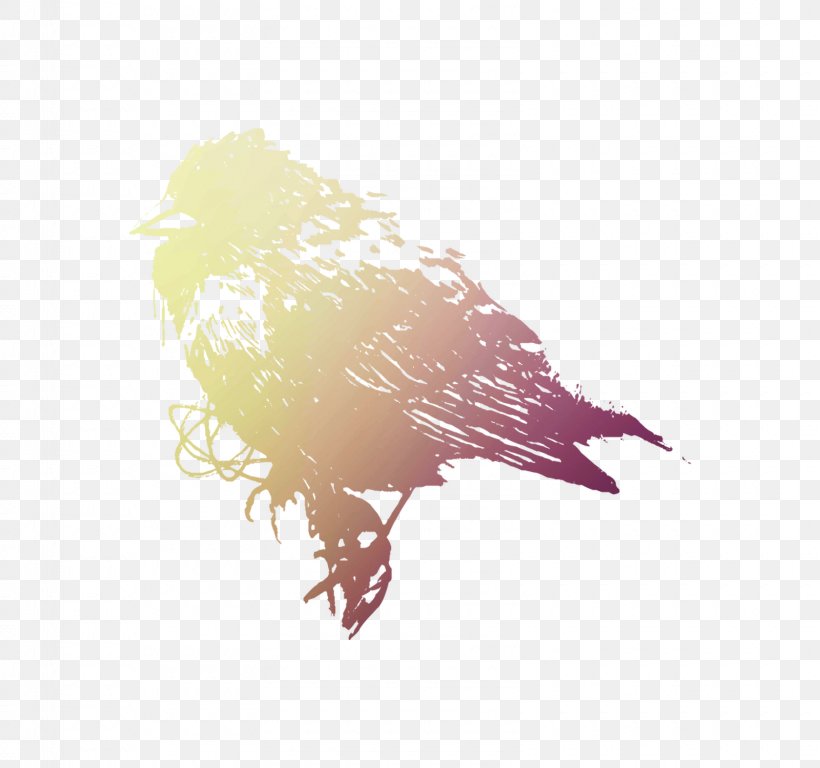 Eagle Desktop Wallpaper Computer Fauna Beak, PNG, 1600x1500px, Eagle, Beak, Bird, Computer, Fauna Download Free