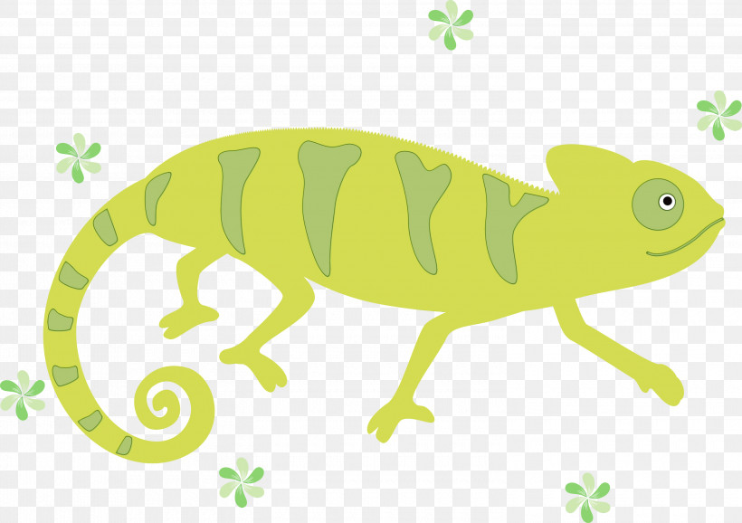 Frogs Lizards Chameleons Cartoon Green, PNG, 3000x2115px, Chameleon, Cartoon, Chameleons, Frogs, Green Download Free