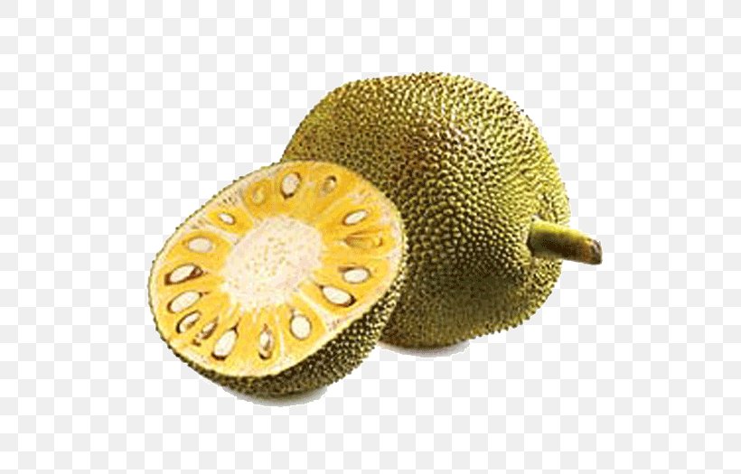 Jackfruit Fruit Tree Gourd Tropical Fruit, PNG, 700x525px, Jackfruit, Auglis, Breadfruit, Calabash, Cucumber Download Free