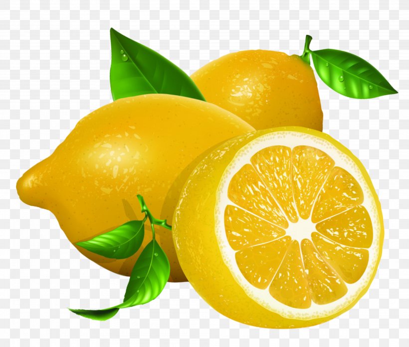 Lemon Euclidean Vector Clip Art, PNG, 3992x3397px, Lemon, Bitter Orange, Citric Acid, Citron, Citrus Download Free