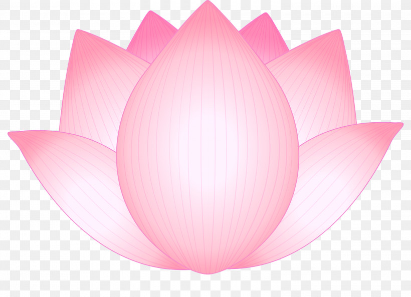 Lotus Flower, PNG, 3000x2170px, Lotus, Aquatic Plant, Flower, Lily Family, Lotus Family Download Free