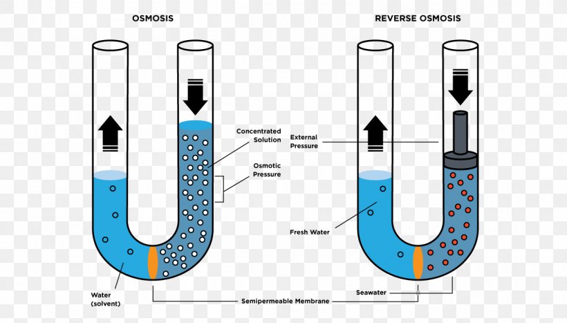 Reverse Osmosis Semipermeable Membrane Osmotic Pressure, PNG, 1200x684px, Osmosis, Brand, Cell, Cell Membrane, Condensation Download Free