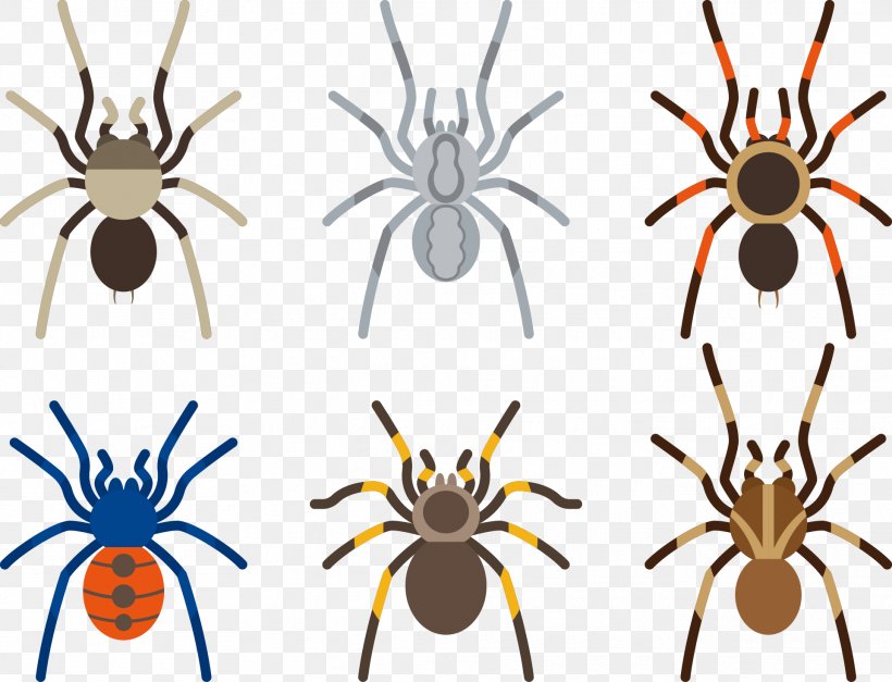 Spider Tarantula Clip Art, PNG, 1923x1472px, Spider, Animal, Arachnid, Arthropod, Clip Art Download Free