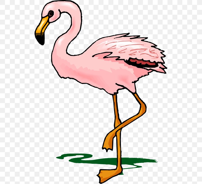 Flamingo Clip Art, PNG, 539x750px, Flamingo, Animal Figure, Artwork, Beak, Bird Download Free