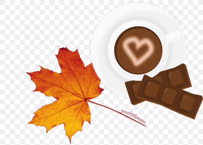 Hot Chocolate Internet NaTemat.pl, PNG, 1291x921px, Hot Chocolate, Acne, Autumn, Blanket, Chocolate Download Free