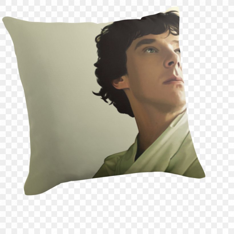 Cushion Throw Pillows, PNG, 875x875px, Cushion, Pillow, Throw Pillow, Throw Pillows Download Free