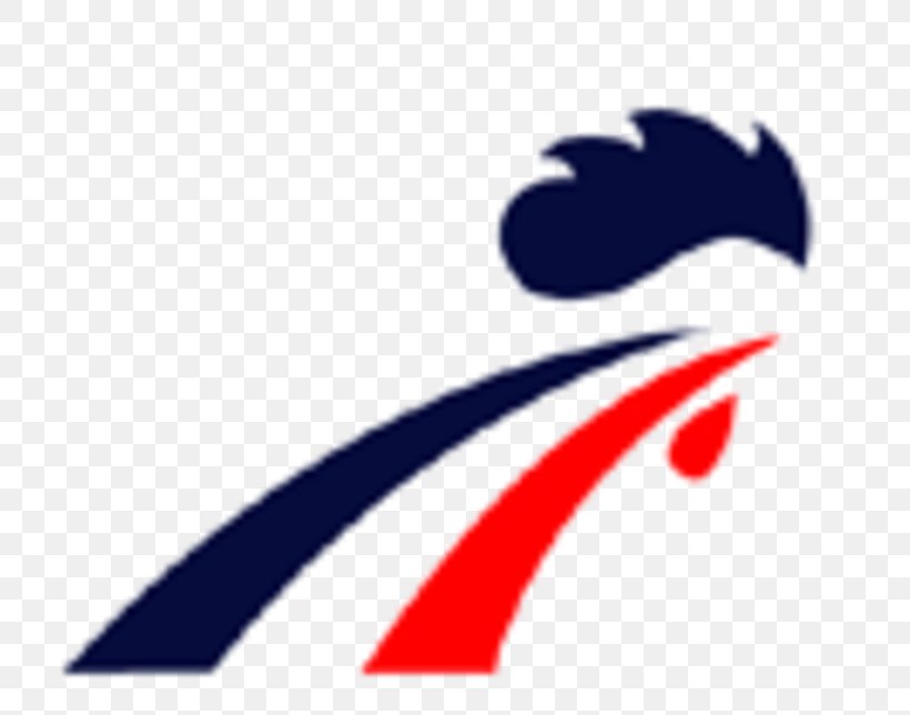 France National Football Team France Men's National Ice Hockey Team Drakkars De Caen France Women's National Ice Hockey Team, PNG, 760x644px, France, Beak, Drakkars De Caen, France National Football Team, Fraueneishockey Download Free