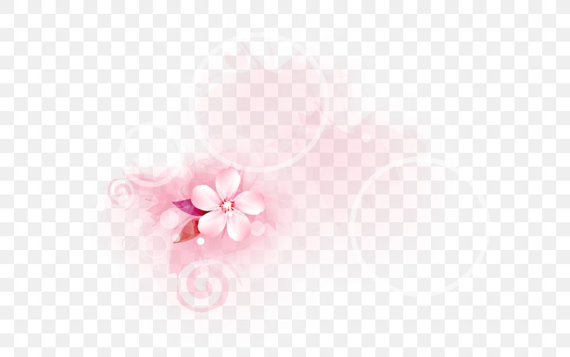 Petal Desktop Wallpaper Cherry Blossom Close-up, PNG, 590x514px, Petal, Blossom, Cherry, Cherry Blossom, Closeup Download Free