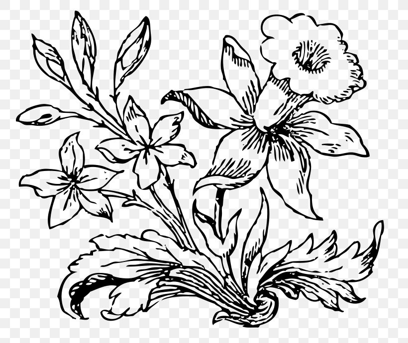 Flower Drawing Clip Art, PNG, 800x690px, Flower, Art, Artwork, Black And White, Bud Download Free