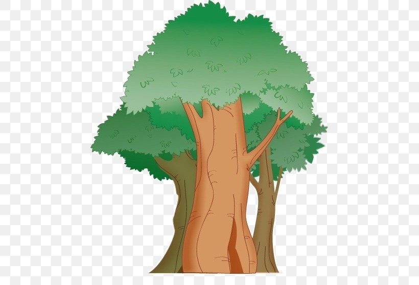 Tree Cartoon, PNG, 465x557px, Tree, Aloe Dichotoma, Animation, Cartoon, Drawing Download Free