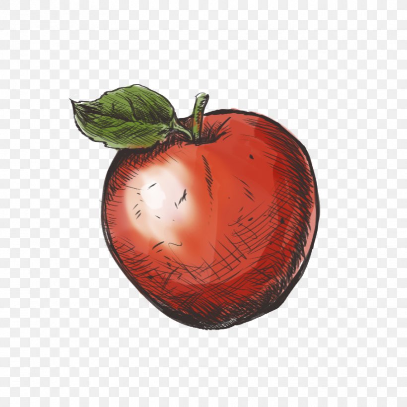 Apple, PNG, 906x906px, Apple, Food, Fruit, Plant Download Free