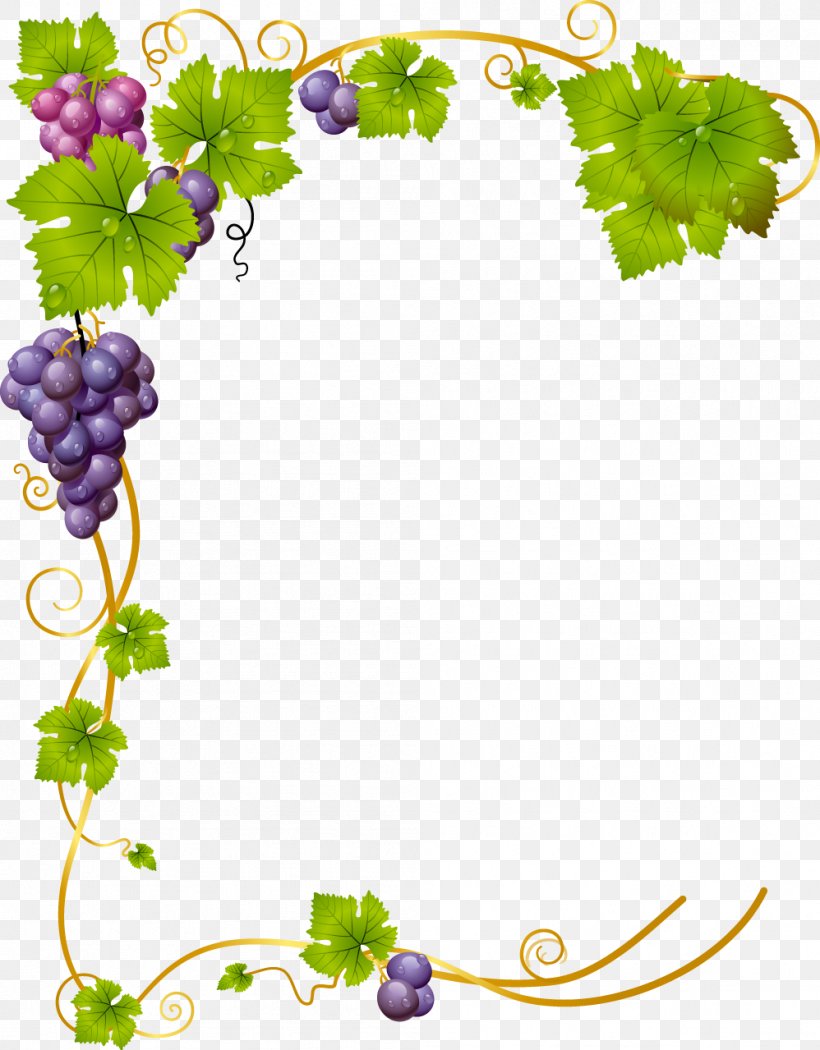 Common Grape Vine Wine, PNG, 998x1279px, Common Grape Vine, Branch, Drawing, Flora, Floral Design Download Free