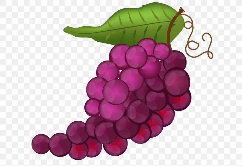 Grape Seed Extract Seedless Fruit, PNG, 650x562px, Grape, Flowering Plant, Food, Fruit, Grape Seed Extract Download Free