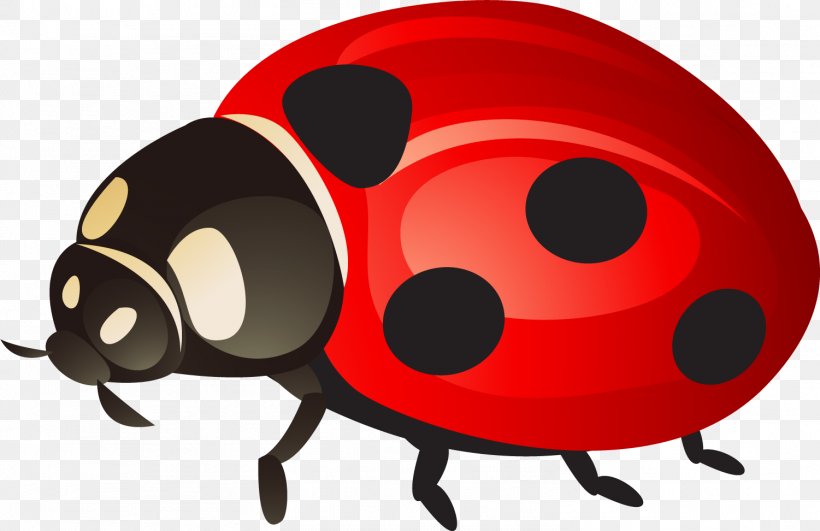 Ladybird Beetle Clip Art, PNG, 1501x972px, Ladybird, Beetle, Cartoon, Designer, Drawing Download Free