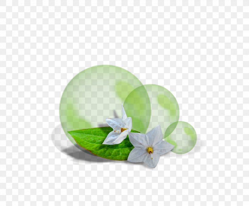 Painting Clip Art, PNG, 1558x1285px, Painting, Art, Color, Flower, Green Download Free