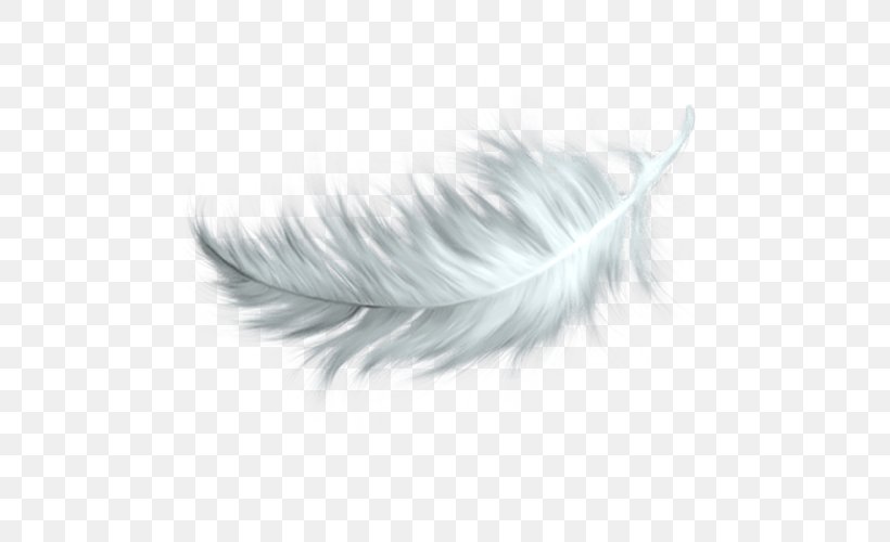White Feather Clip Art, PNG, 500x500px, Feather, Black And White, Color, Drawing, Jpeg File Interchange Format Download Free