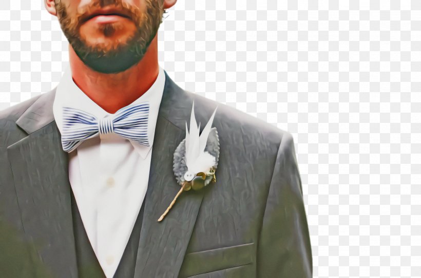 Bow Tie, PNG, 2456x1628px, Tie, Beard, Bow Tie, Formal Wear, Gentleman Download Free