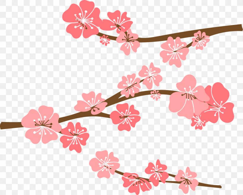 Cherry Blossom Drawing, PNG, 1443x1157px, Cherry Blossom, Blossom, Branch, Cerasus, Cherry Download Free
