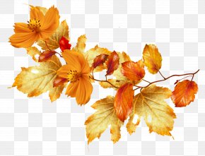 Autumn Leaves - Flower Autumn Leaf Color Clip Art PNG