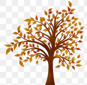 Oak Flower - Oak Tree Drawing PNG