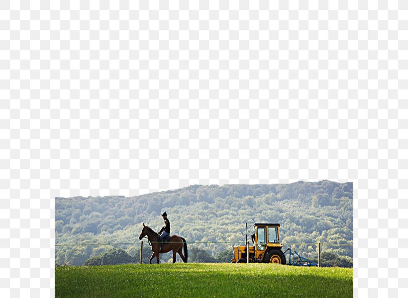 Tractor Equestrianism, PNG, 600x600px, Tractor, Ecoregion, Ecosystem, Equestrianism, Farm Download Free