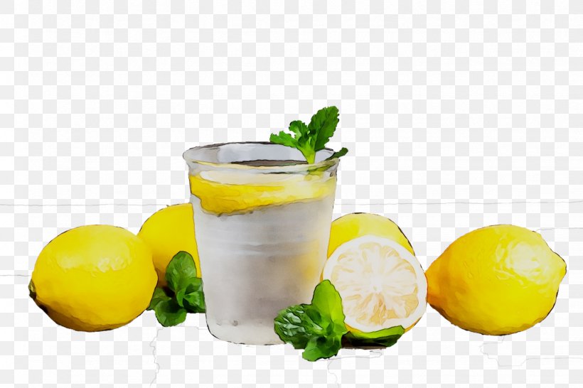 Lemonade Cocktail Garnish Limeade, PNG, 1433x955px, Lemon, Aguas Frescas, Citric Acid, Citrus, Cocktail Garnish Download Free