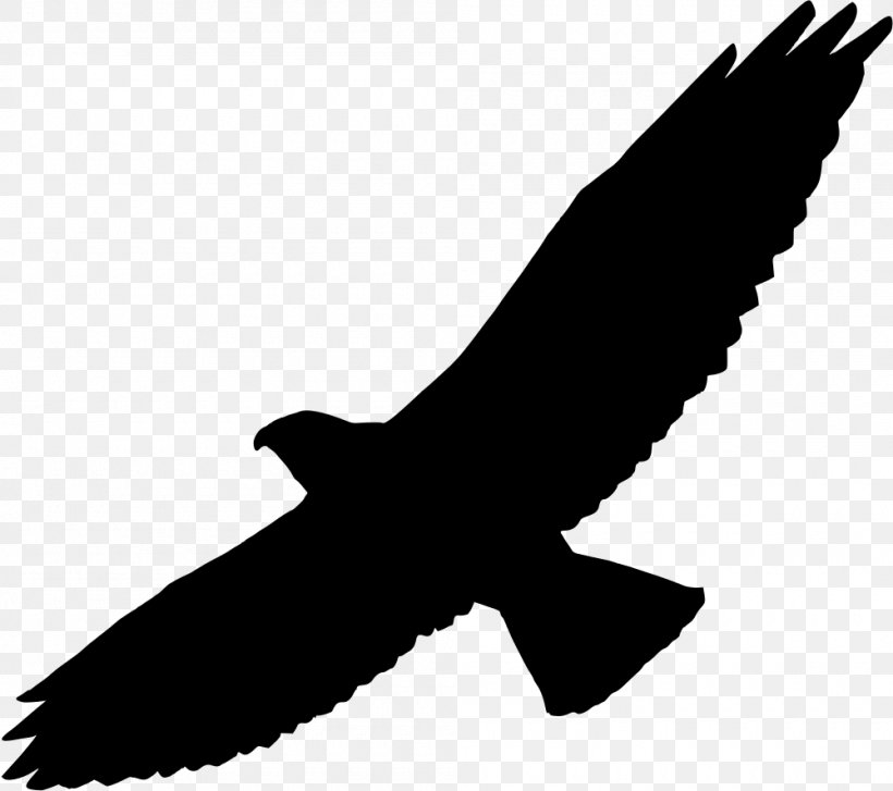 Swainson's Hawk Silhouette Bird, PNG, 1000x887px, Hawk, Accipitriformes, Beak, Bird, Bird Of Prey Download Free