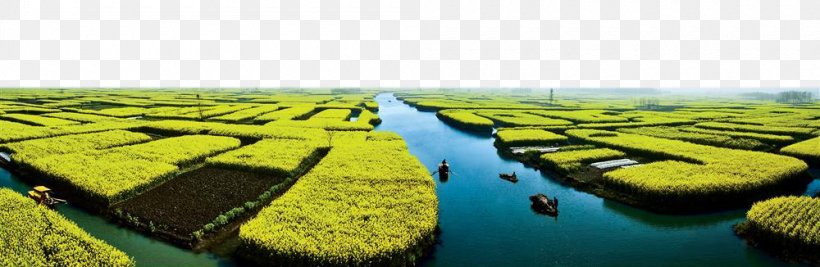 Water Resources Landscape Yellow, PNG, 1000x326px, Water Resources, Grass, Landscape, Plant, Water Download Free
