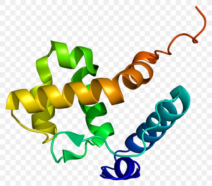 ARID1B SWI/SNF Protein SMARCA2 SMARCB1, PNG, 932x820px, Protein, Artwork, Body Jewelry, Cancer, Chromosome Download Free