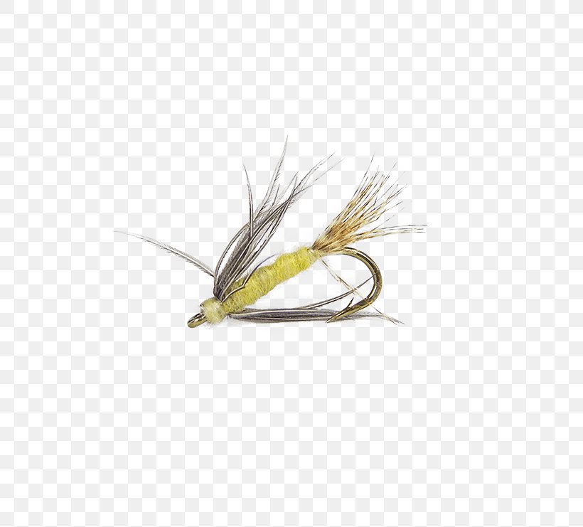 Artificial Fly Hackles Insect Yellow, PNG, 555x741px, Artificial Fly, Fishing Bait, Fishing Lure, Hackle, Hackles Download Free