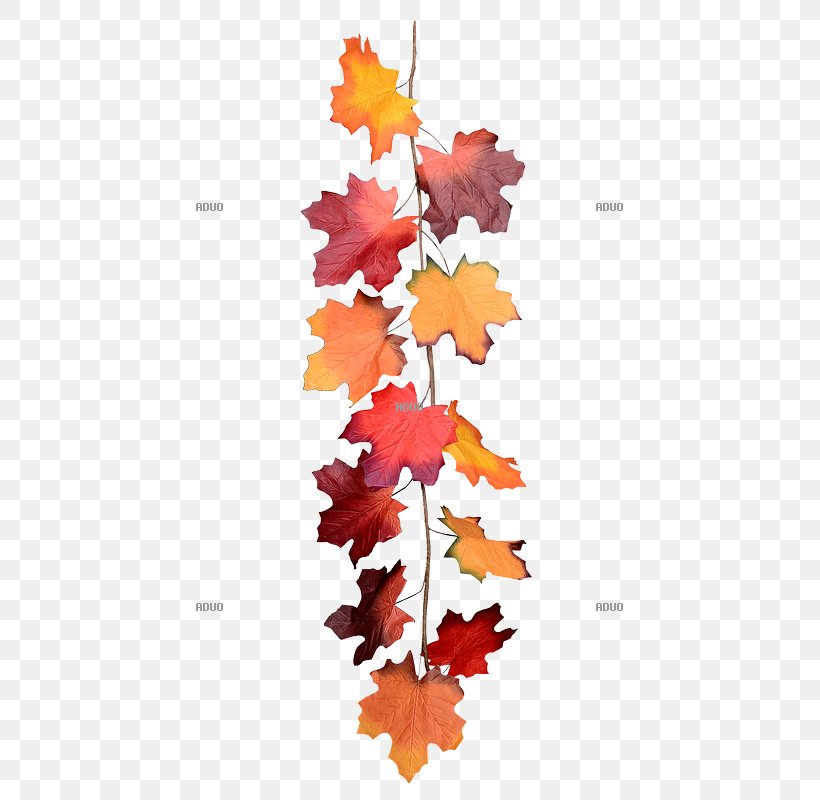 Efterårsferie Autumn Garland School Holiday Brown, PNG, 800x800px, Autumn, Article, Branch, Brown, Chain Download Free