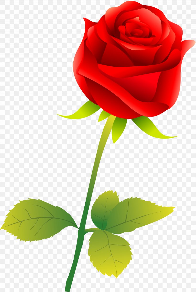 Garden Roses Flower, PNG, 4292x6379px, Rose, Blue, Color, Cut Flowers, Floral Design Download Free