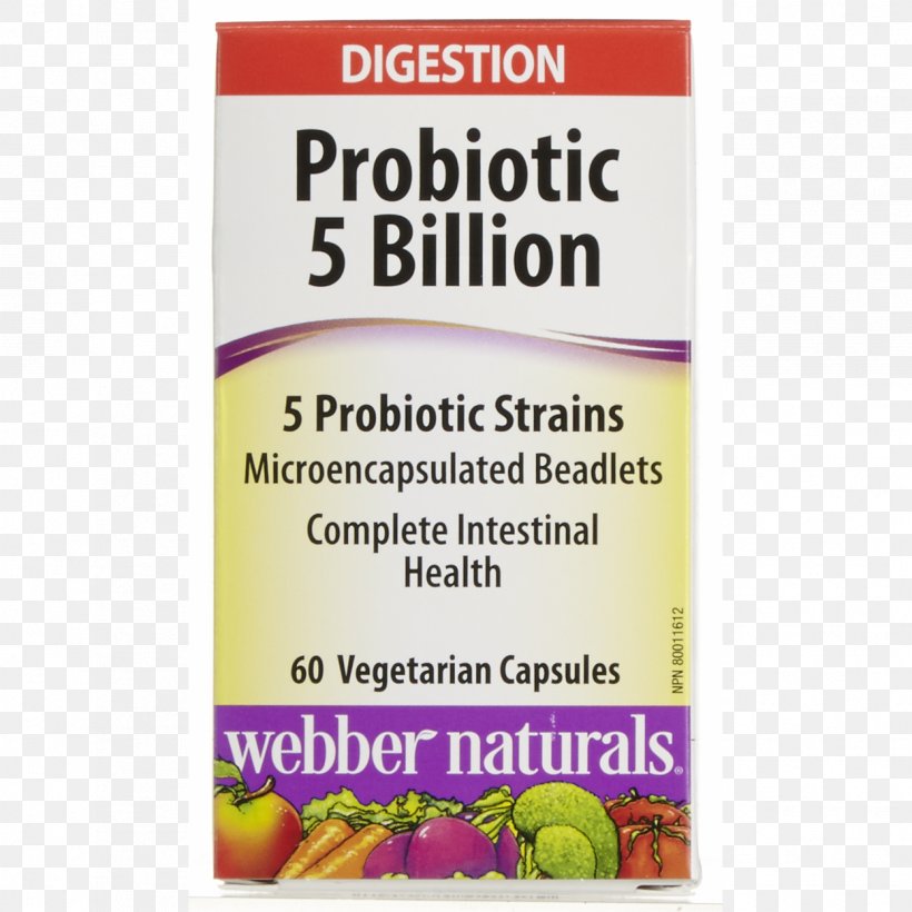 Probiotic Dietary Supplement Health Gut Flora Gastrointestinal Tract, PNG, 1247x1247px, Probiotic, Bacteria, Cell, Dietary Supplement, Digestive Enzyme Download Free