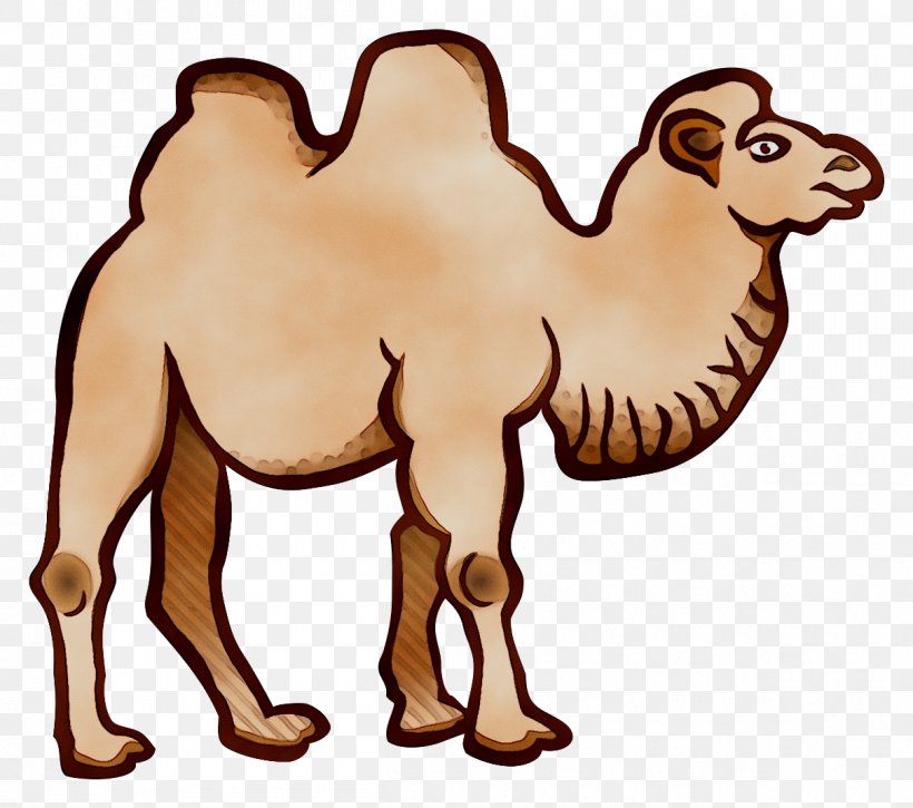Bactrian Camel Dromedary Clip Art Drawing, PNG, 1210x1070px, Bactrian Camel, Animal Figure, Arabian Camel, Bactria, Camel Download Free