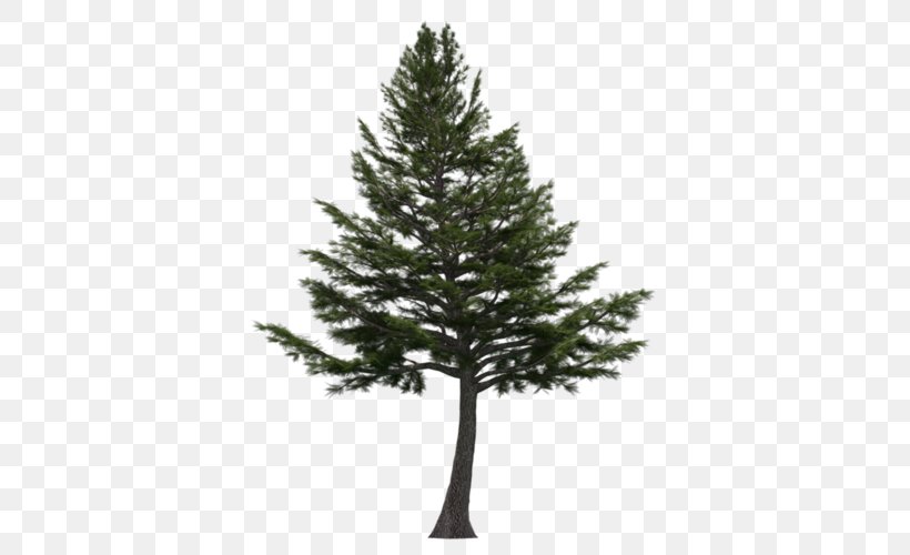 Cedrus Libani Cedar Wood Lebanon Tree, PNG, 500x500px, Cedrus Libani, Branch, Cedar, Cedar Wood, Christmas Decoration Download Free