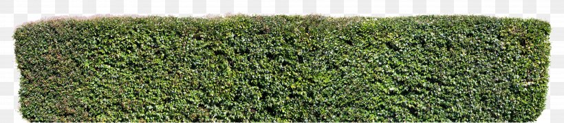 Hedge Desktop Wallpaper Photography Wallpaper, PNG, 3989x876px, Hedge, Art, Furniture, Grass, Grass Family Download Free