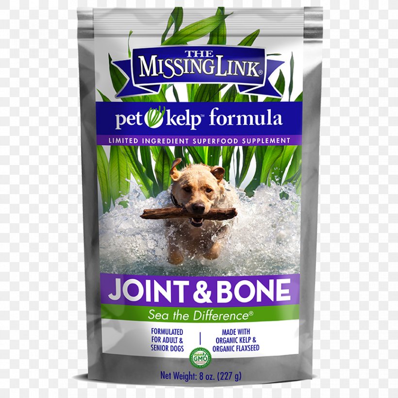 Kelp Dietary Supplement Dog Cat Bone, PNG, 864x864px, Kelp, Bone, Canidae, Cat, Dietary Supplement Download Free