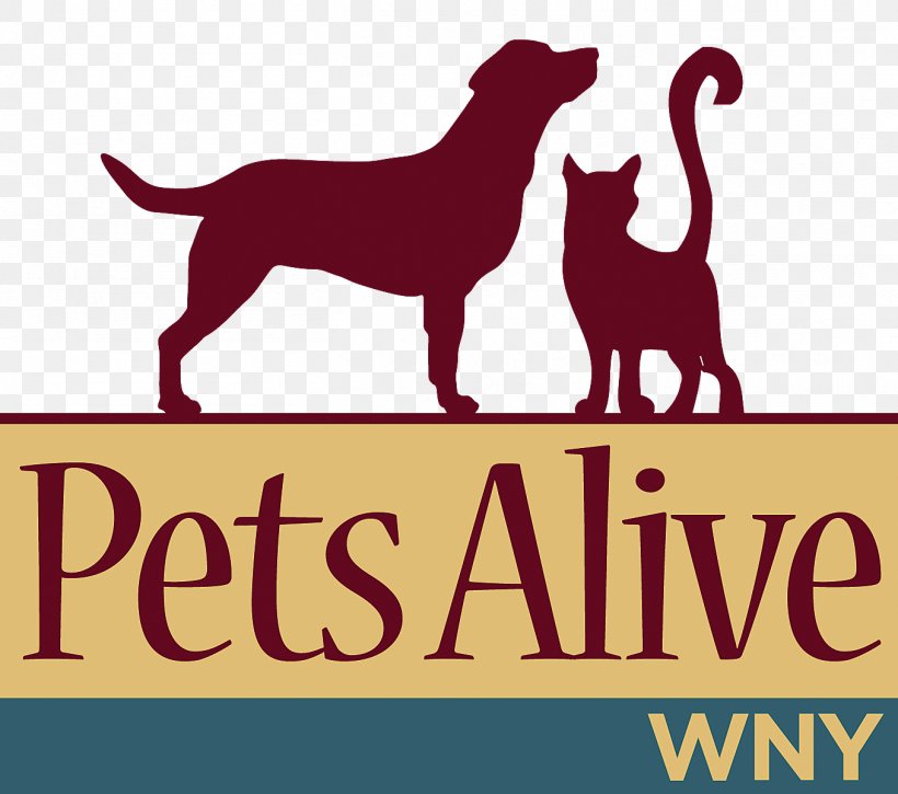 Labrador Retriever Puppy Dog Breed Cat Pets Alive WNY, PNG, 1357x1200px, Labrador Retriever, Adoption, Animal, Animal Shelter, Black Cat Download Free