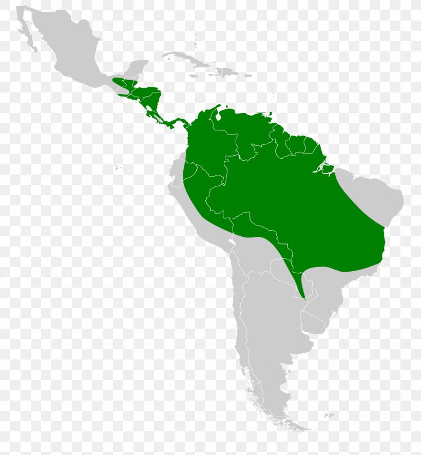 Latin America South America Central America Map Language, PNG, 1200x1297px, Latin America, Americas, Central America, Geography, Grass Download Free