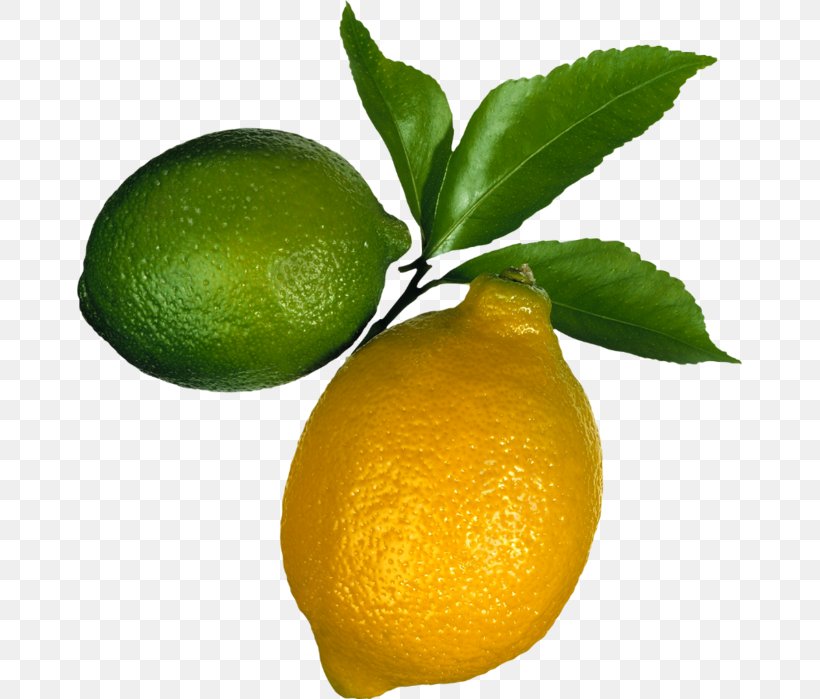 Lemon Juice Lime Food Corona, PNG, 665x699px, Lemon, Bitter Orange, Calamondin, Citric Acid, Citron Download Free