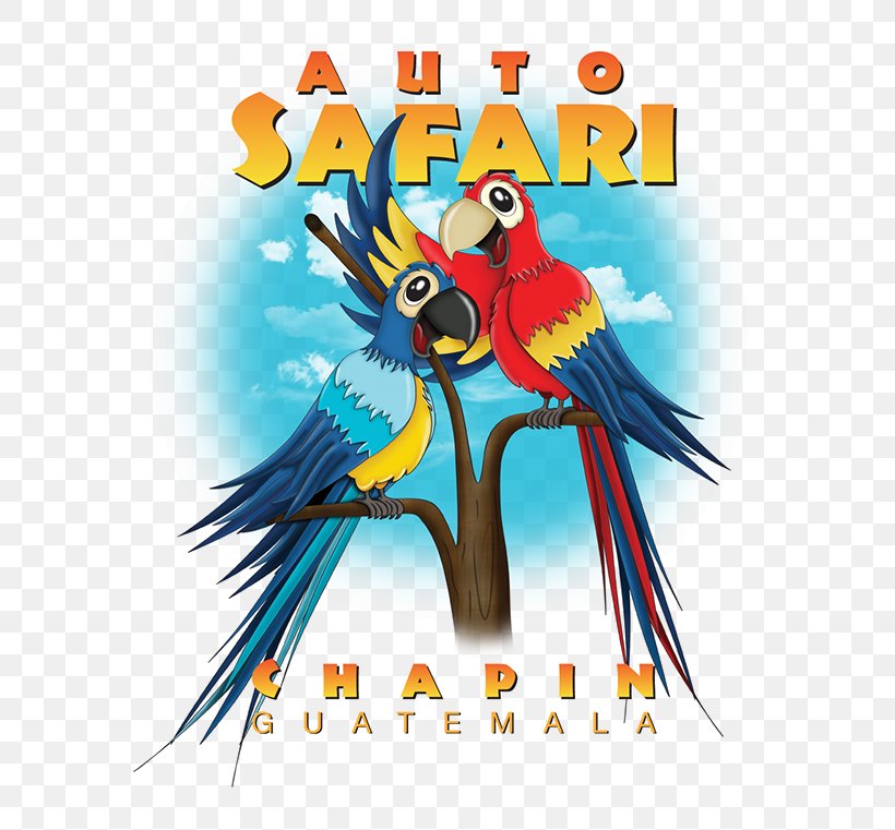 Macaw Parrot Illustration Bird Beak, PNG, 600x761px, Macaw, Art, Beak, Bird, Bird Supply Download Free