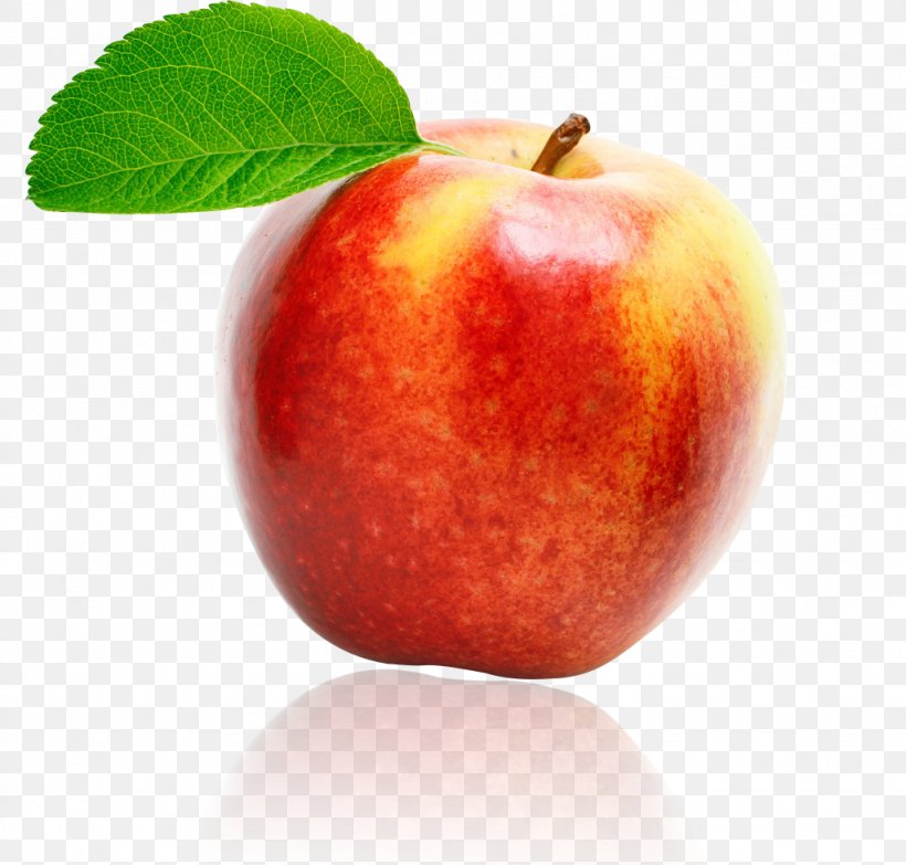 McIntosh Red Apple Gala Fruit Vegetable, PNG, 1024x979px, Mcintosh Red, Apple, Apples, Cultivar, Diet Food Download Free