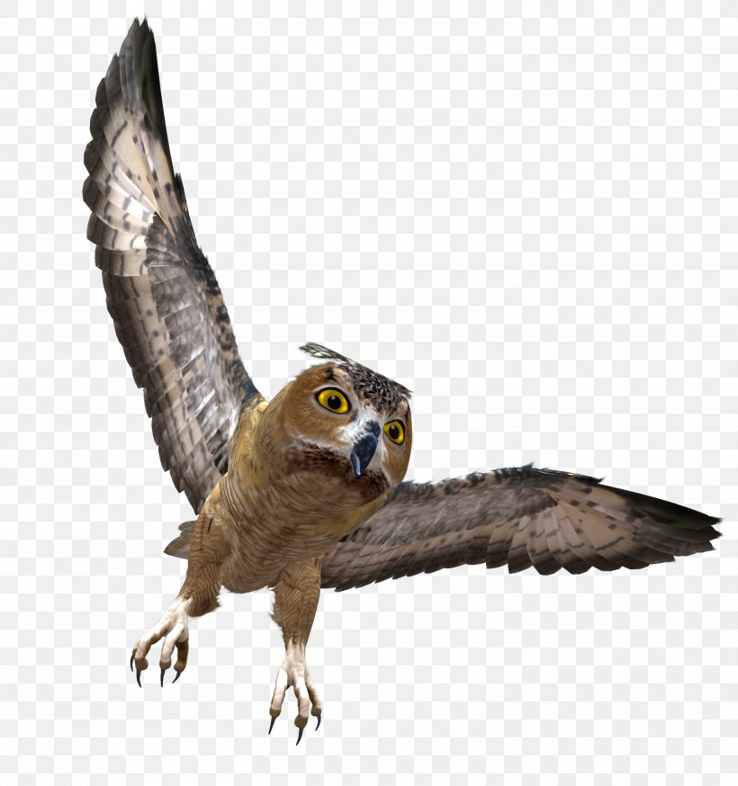Owl Bird Clip Art Image, PNG, 1500x1600px, Owl, Art, Beak, Bird, Bird Of Prey Download Free