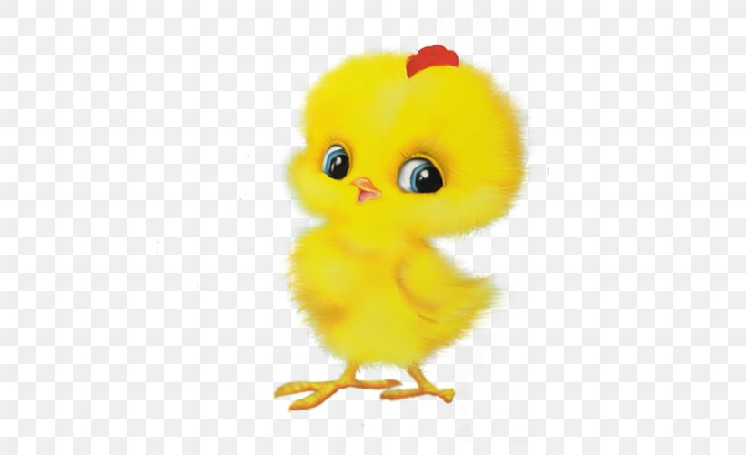 Chicken Child Game Easter Egger, PNG, 500x500px, Chicken, Age, Beak, Bird, Child Download Free