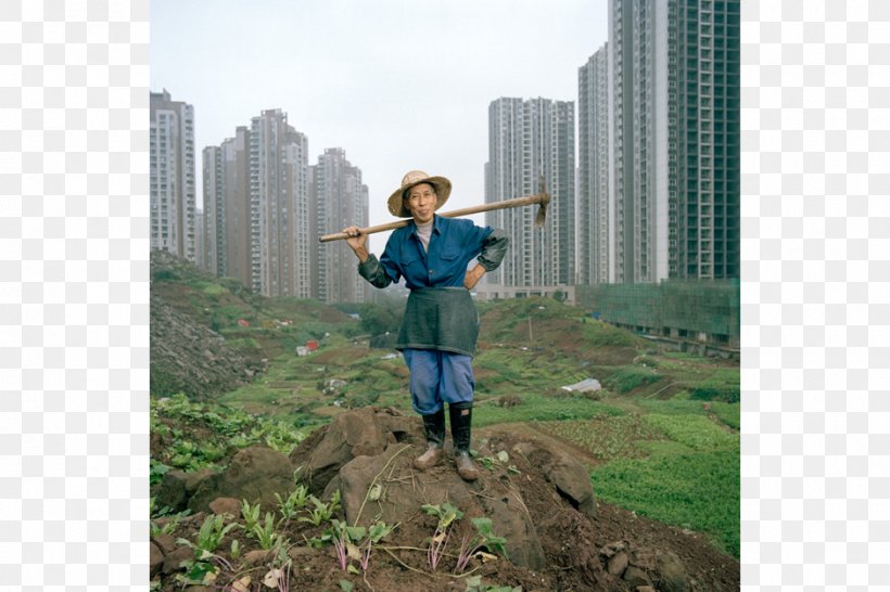 China Farm Urban Agriculture Arable Land Tree, PNG, 940x627px, China, Adventure, Arable Land, Architectural Engineering, Asia Download Free